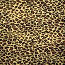 055 Africa - 3-ply - Ti-Flair